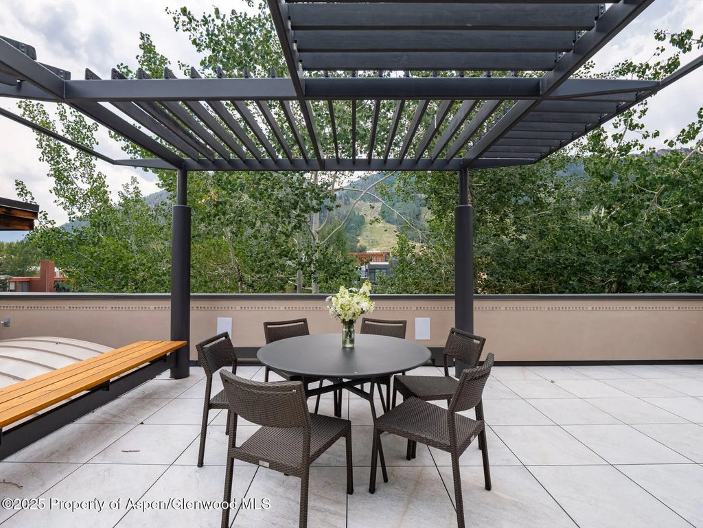 22 of 24 - 624 E Hopkins Avenue, Aspen, CO