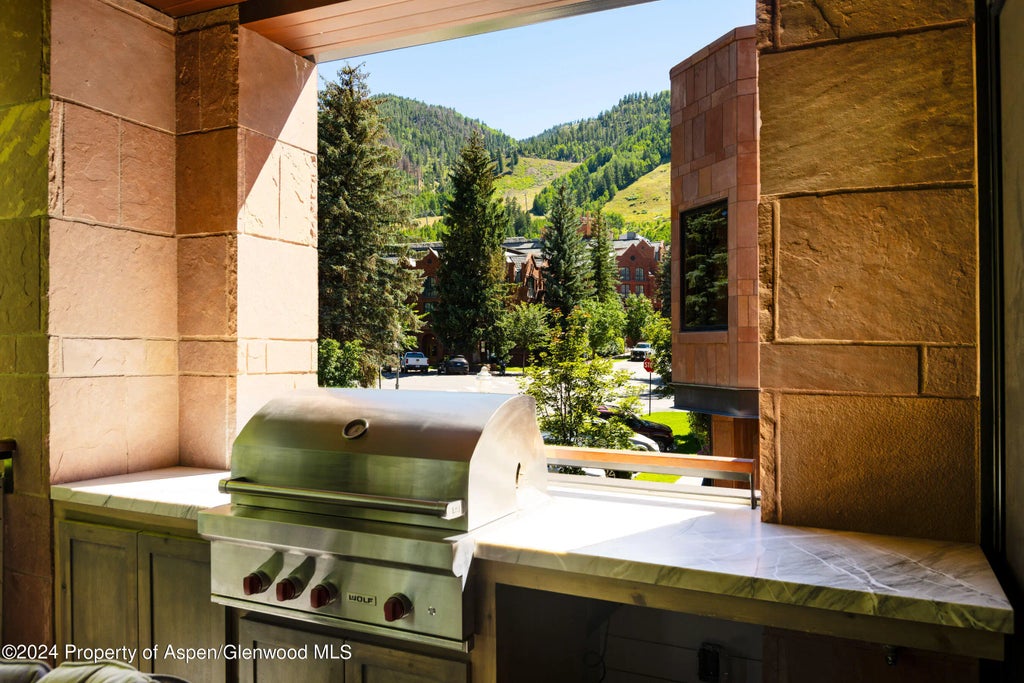 30 of 33 - 405 S Monarch Street 209, Aspen, CO