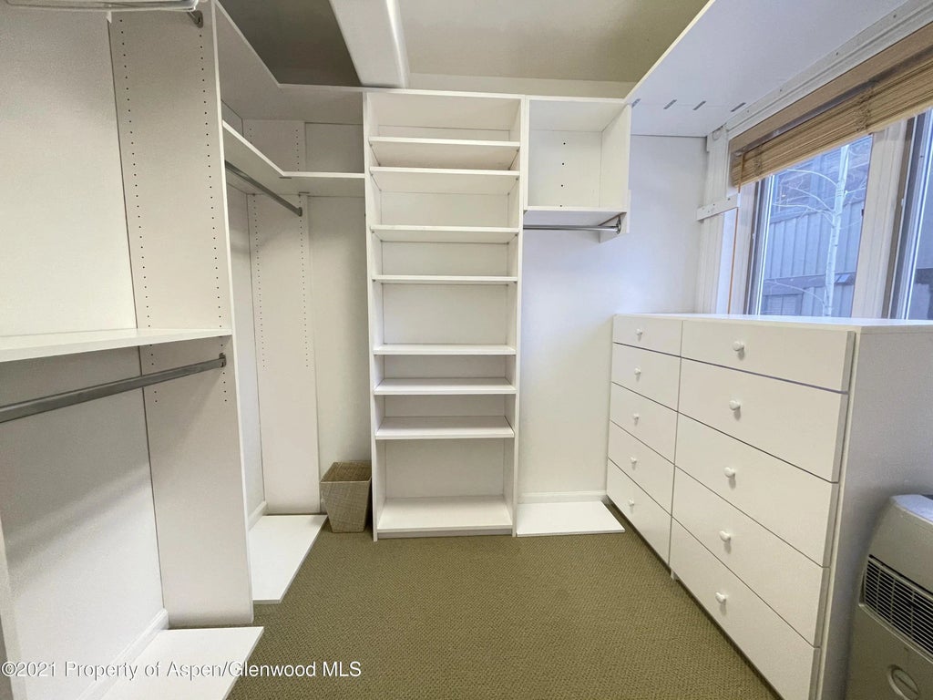 10 of 14 - 916 E Hopkins Avenue 102, Aspen, CO