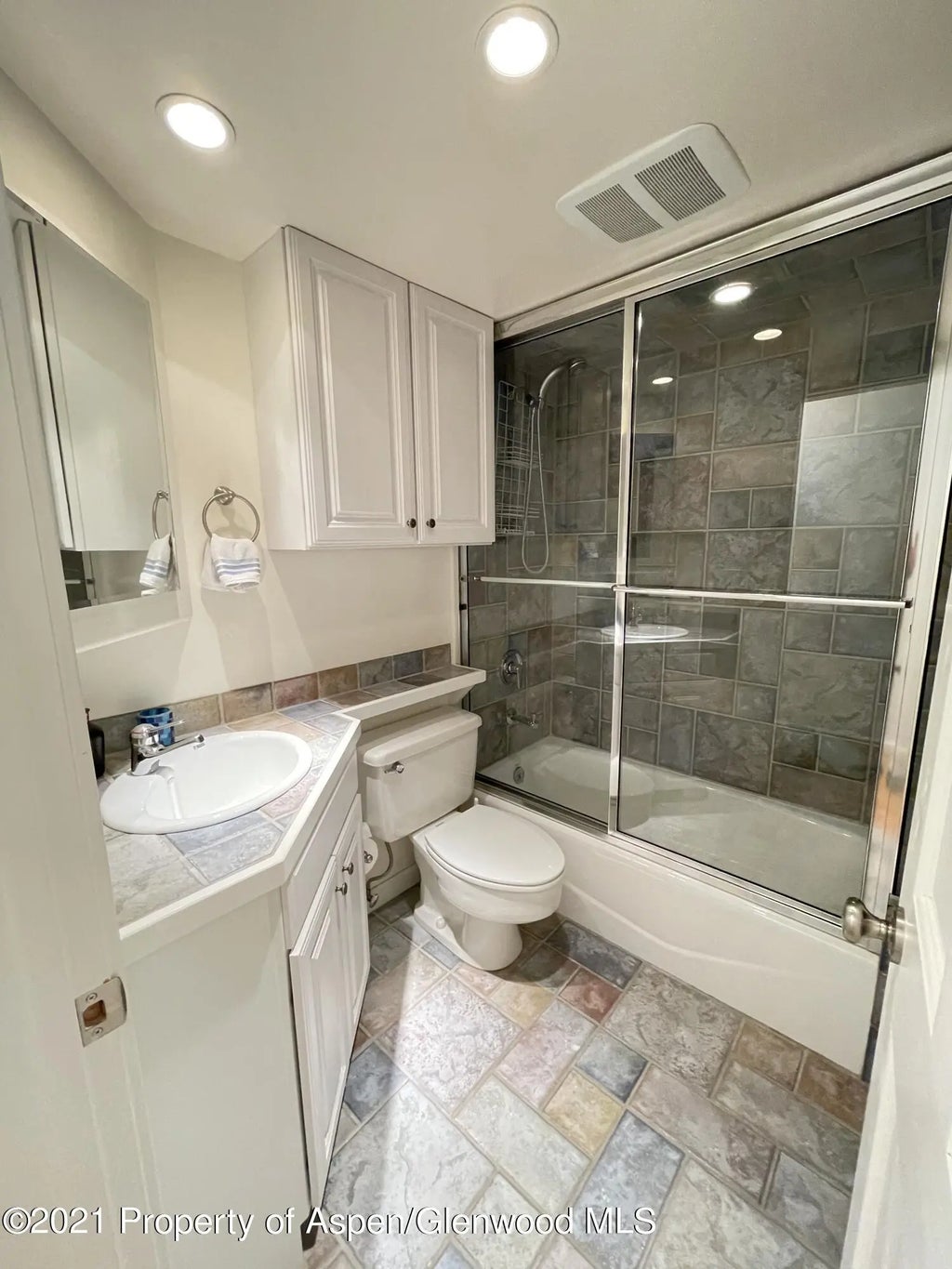 11 of 14 - 916 E Hopkins Avenue 102, Aspen, CO