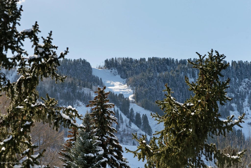 13 of 14 - 916 E Hopkins Avenue 102, Aspen, CO