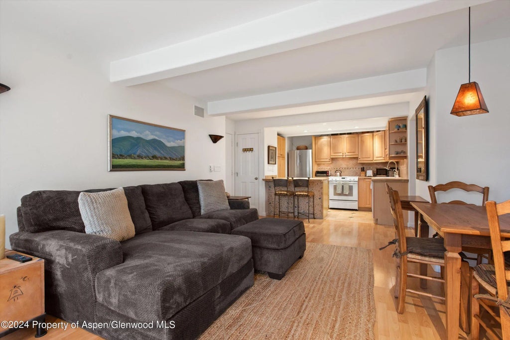 2 of 14 - 916 E Hopkins Avenue 102, Aspen, CO