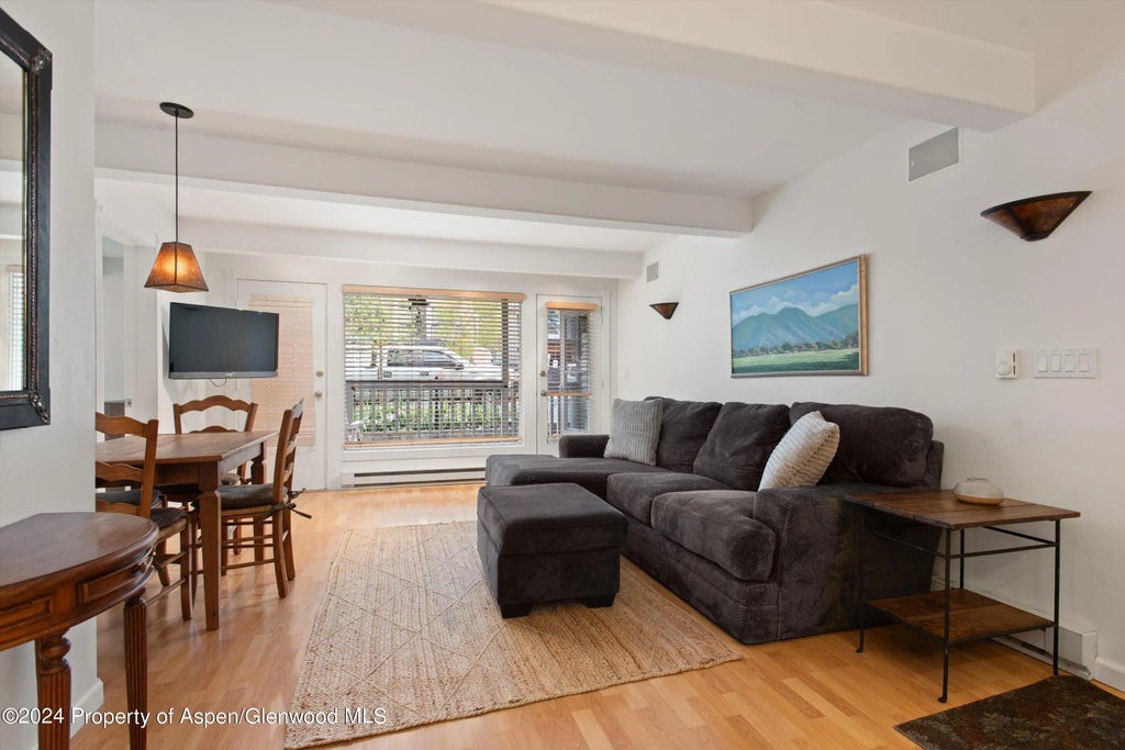 3 of 14 - 916 E Hopkins Avenue 102, Aspen, CO