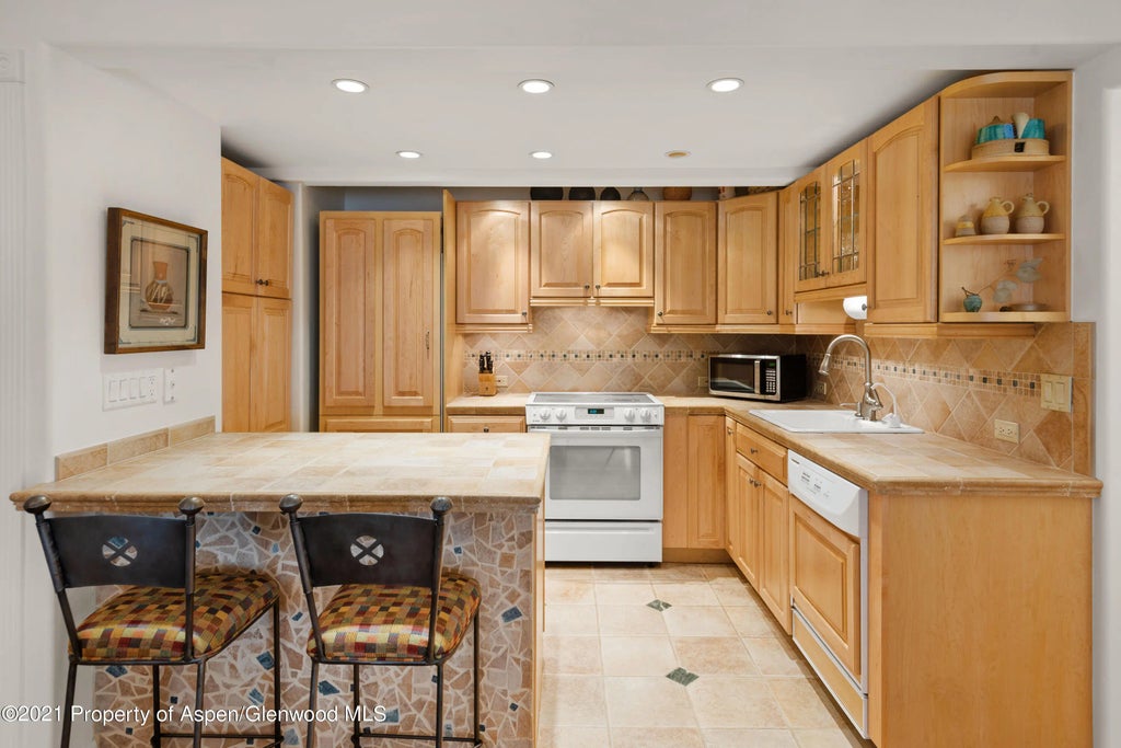4 of 14 - 916 E Hopkins Avenue 102, Aspen, CO