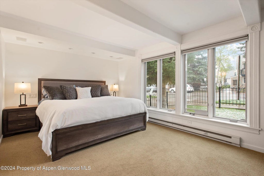 5 of 14 - 916 E Hopkins Avenue 102, Aspen, CO