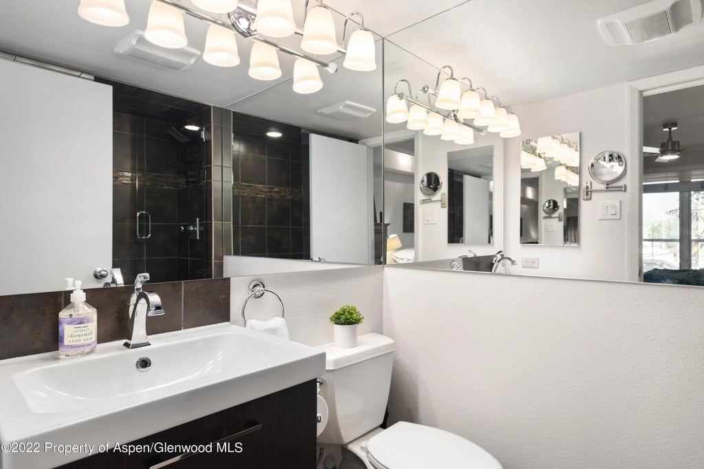 10 of 20 - 1034 E Cooper Avenue 10, Aspen, CO