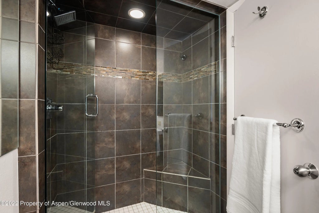 11 of 20 - 1034 E Cooper Avenue 10, Aspen, CO