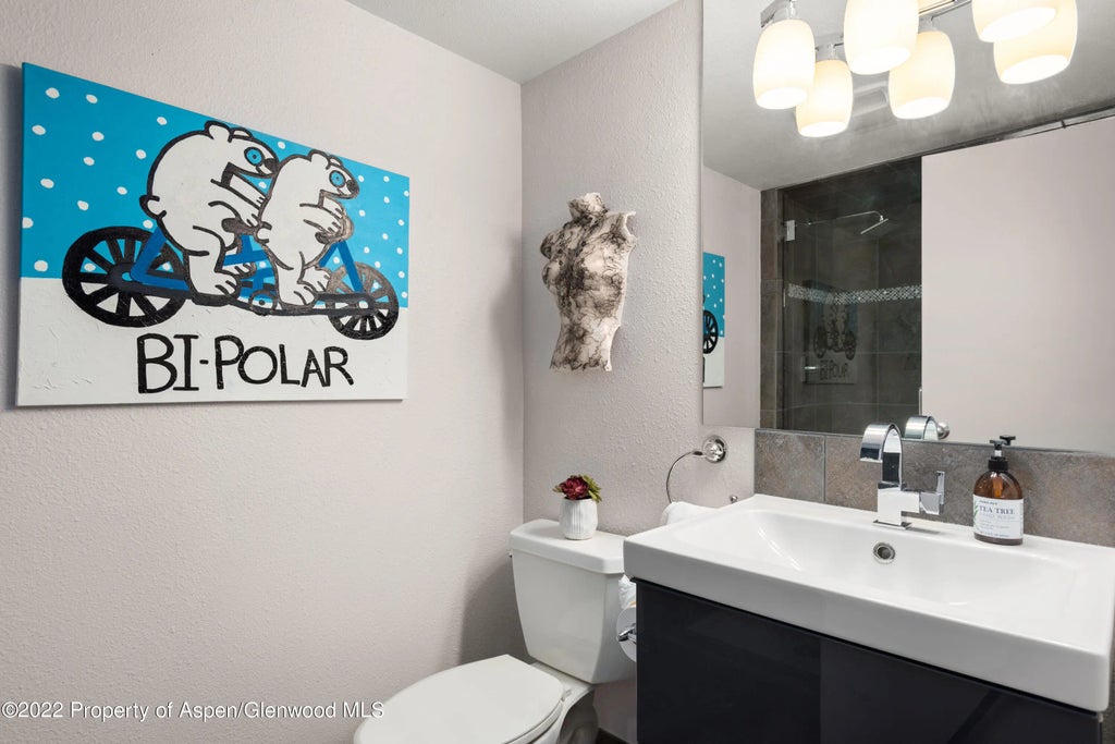 13 of 20 - 1034 E Cooper Avenue 10, Aspen, CO