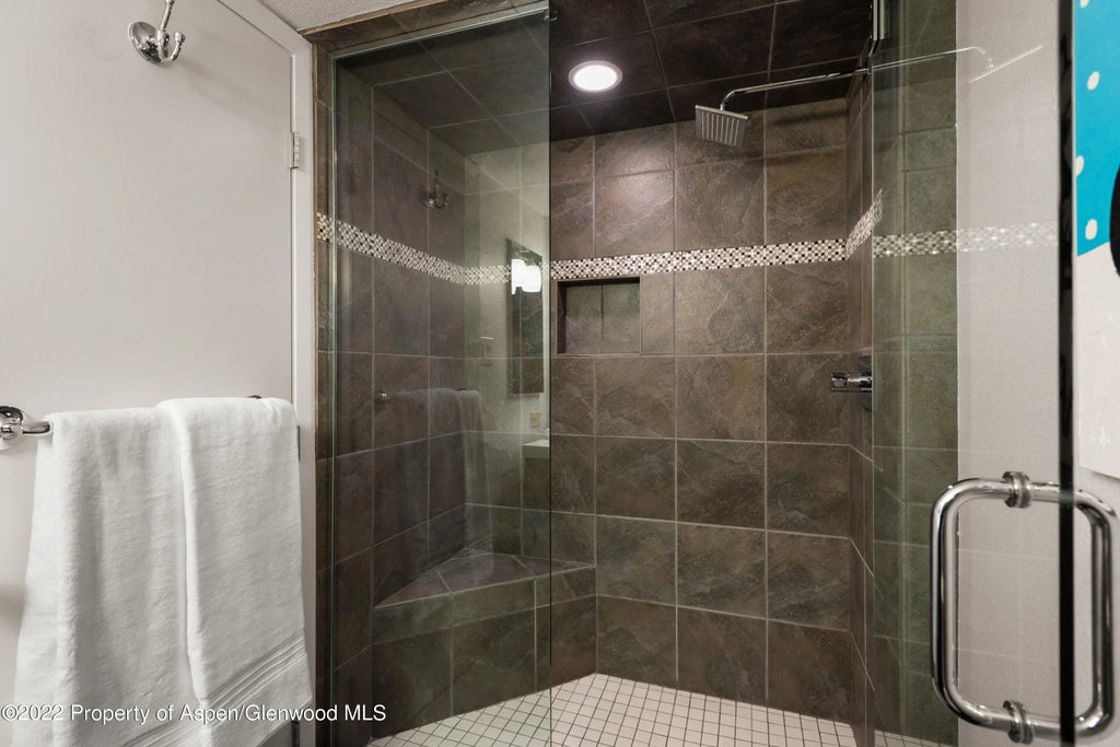14 of 20 - 1034 E Cooper Avenue 10, Aspen, CO