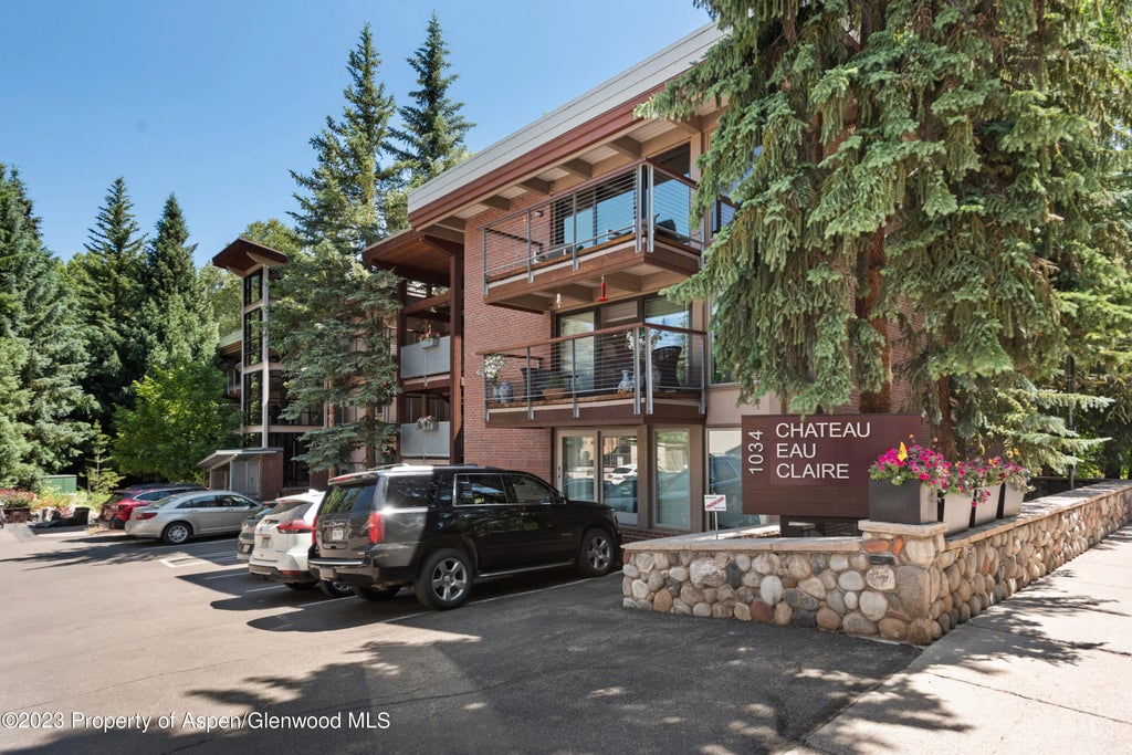18 of 20 - 1034 E Cooper Avenue 10, Aspen, CO