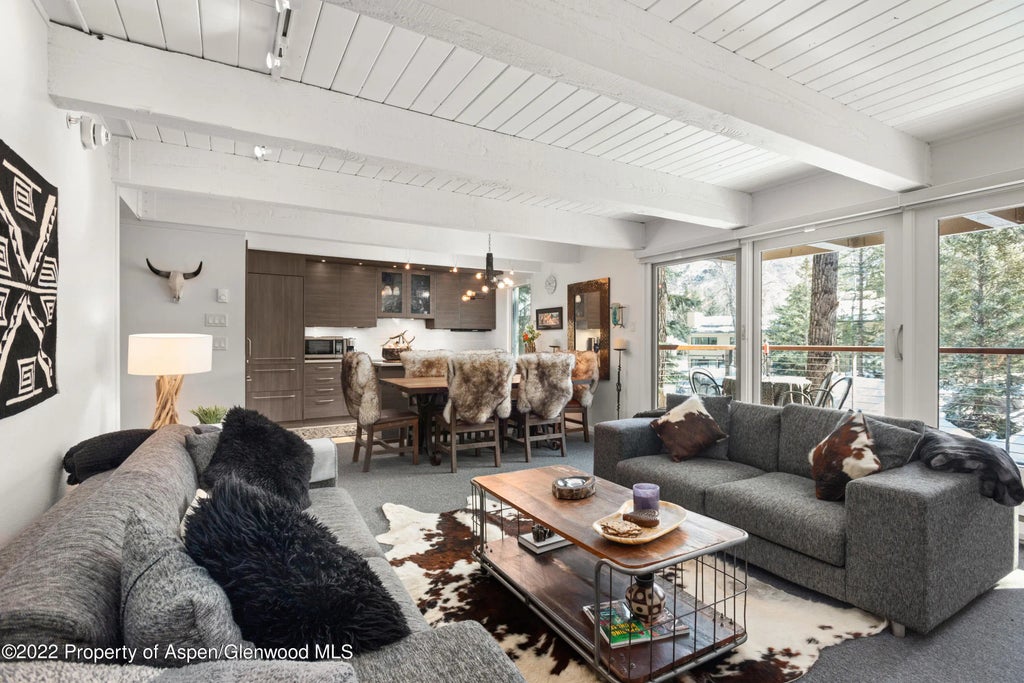 3 of 20 - 1034 E Cooper Avenue 10, Aspen, CO
