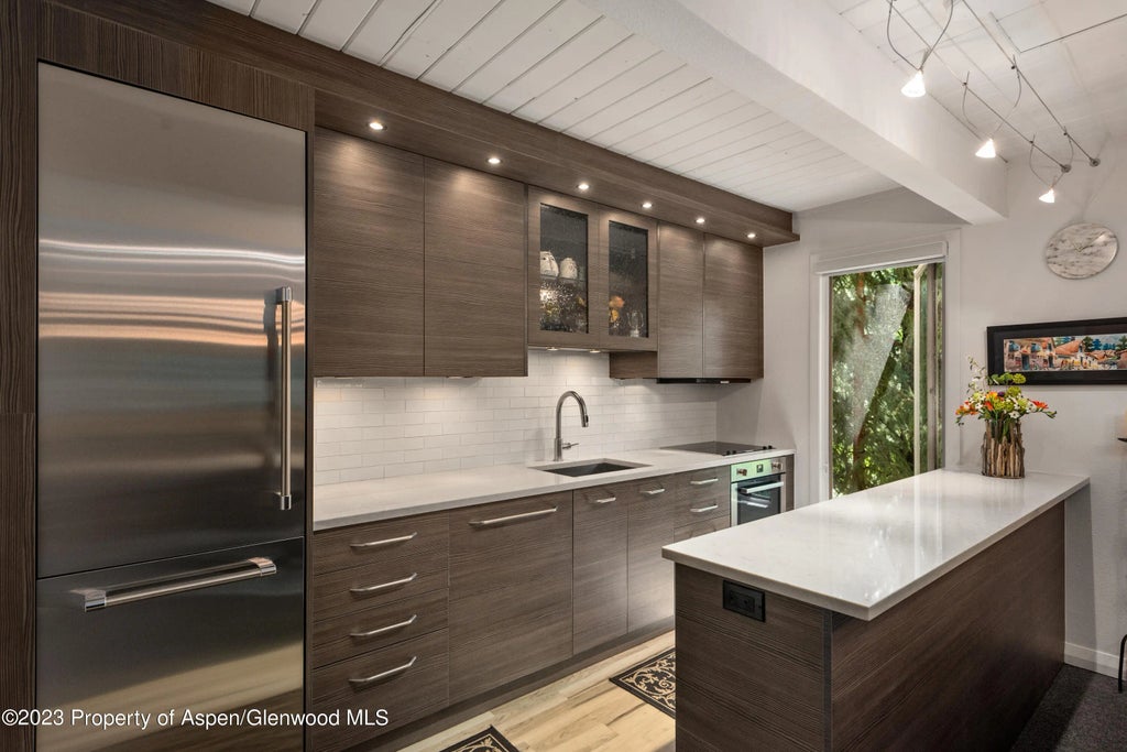 4 of 20 - 1034 E Cooper Avenue 10, Aspen, CO