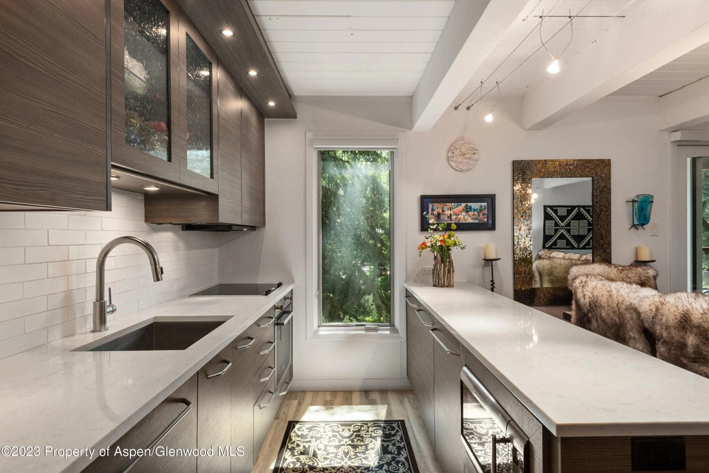 5 of 20 - 1034 E Cooper Avenue 10, Aspen, CO