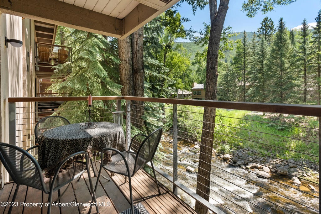 6 of 20 - 1034 E Cooper Avenue 10, Aspen, CO