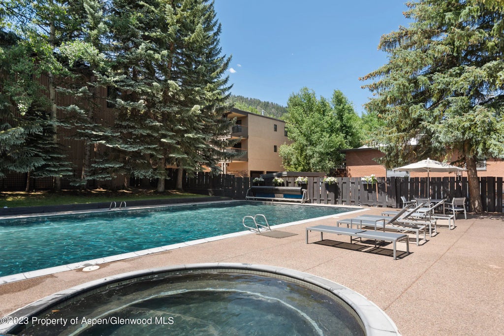8 of 20 - 1034 E Cooper Avenue 10, Aspen, CO
