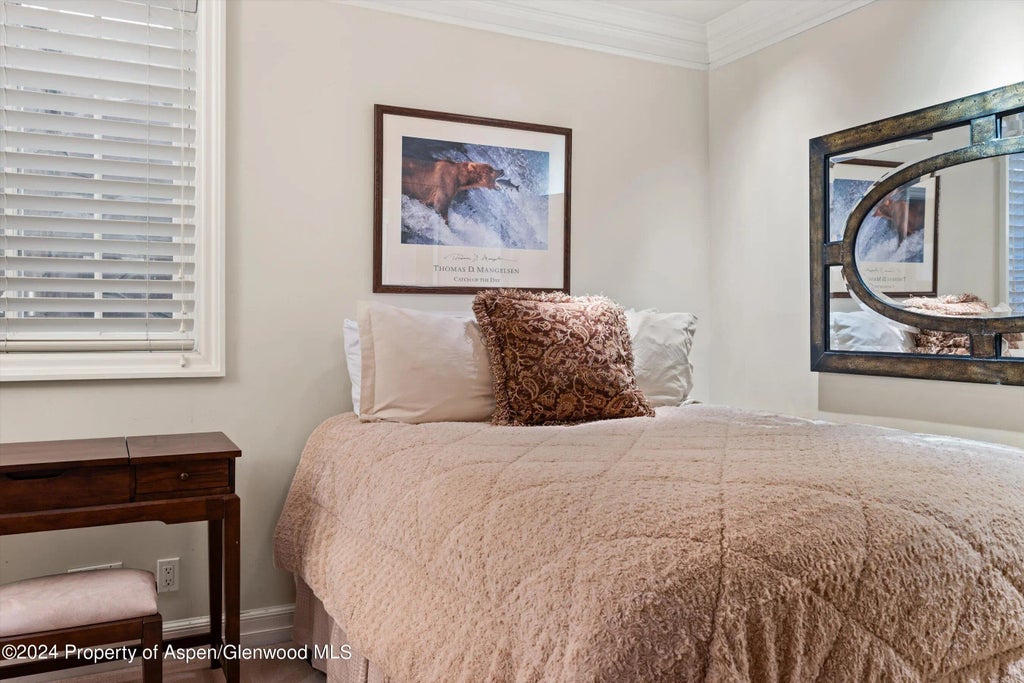 11 of 34 - 630 S Mill Street 4-a, Aspen, CO