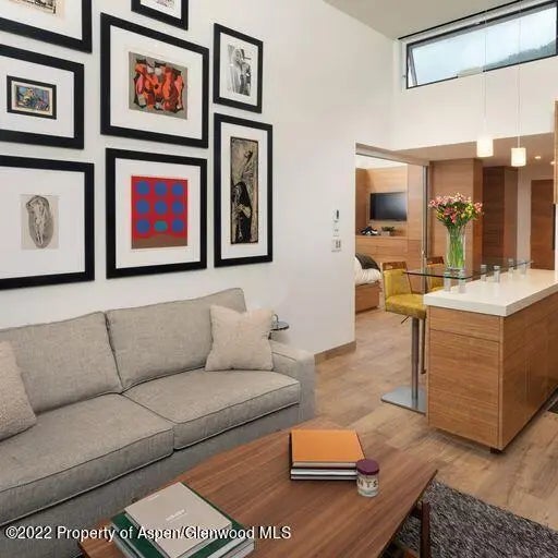 1 of 9 - 119 E Cooper Avenue 22, Aspen, CO
