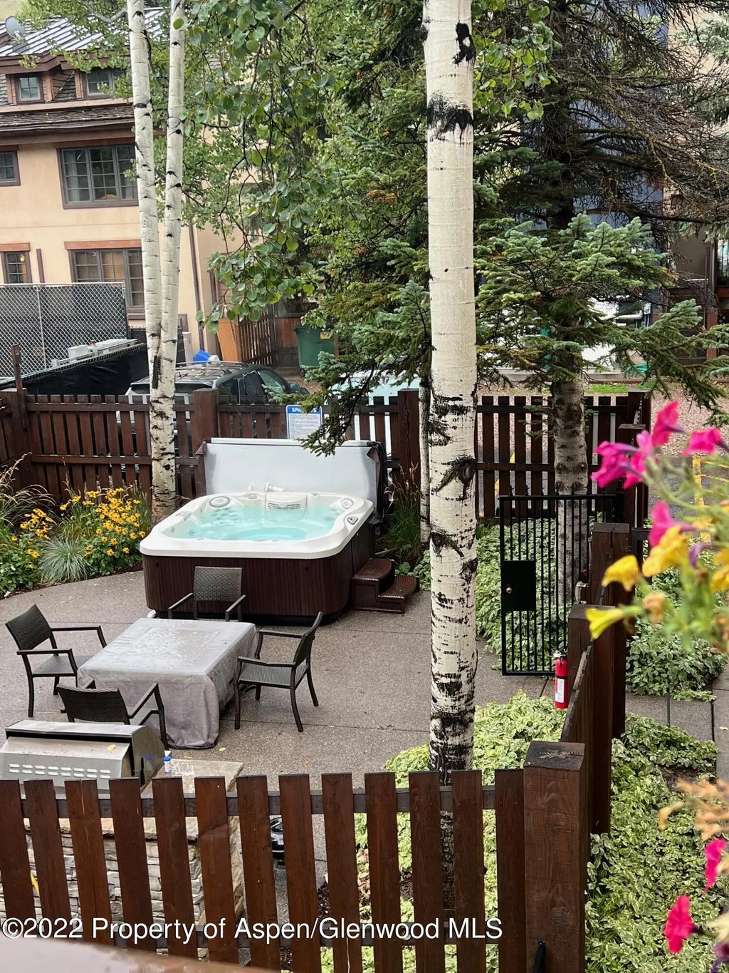 9 of 9 - 119 E Cooper Avenue 22, Aspen, CO