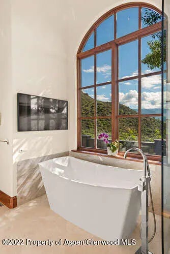 18 of 30 - 650 Pioneer Springs Ranch Road, Aspen, CO