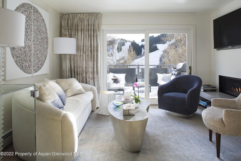 124 E Durant Avenue 2, Aspen