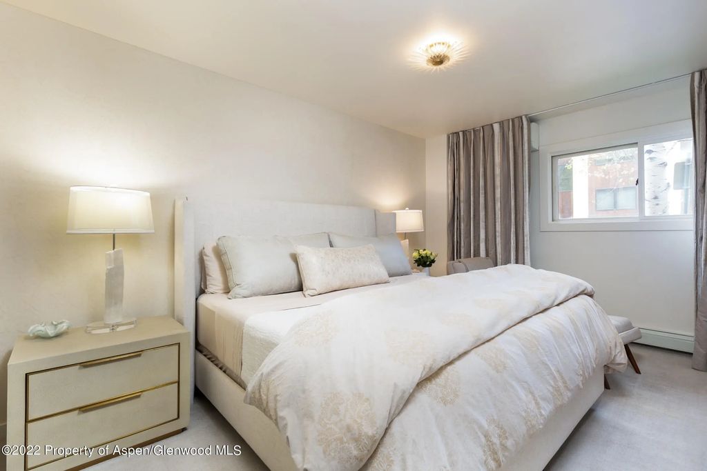 11 of 15 - 124 E Durant Avenue 2, Aspen, CO