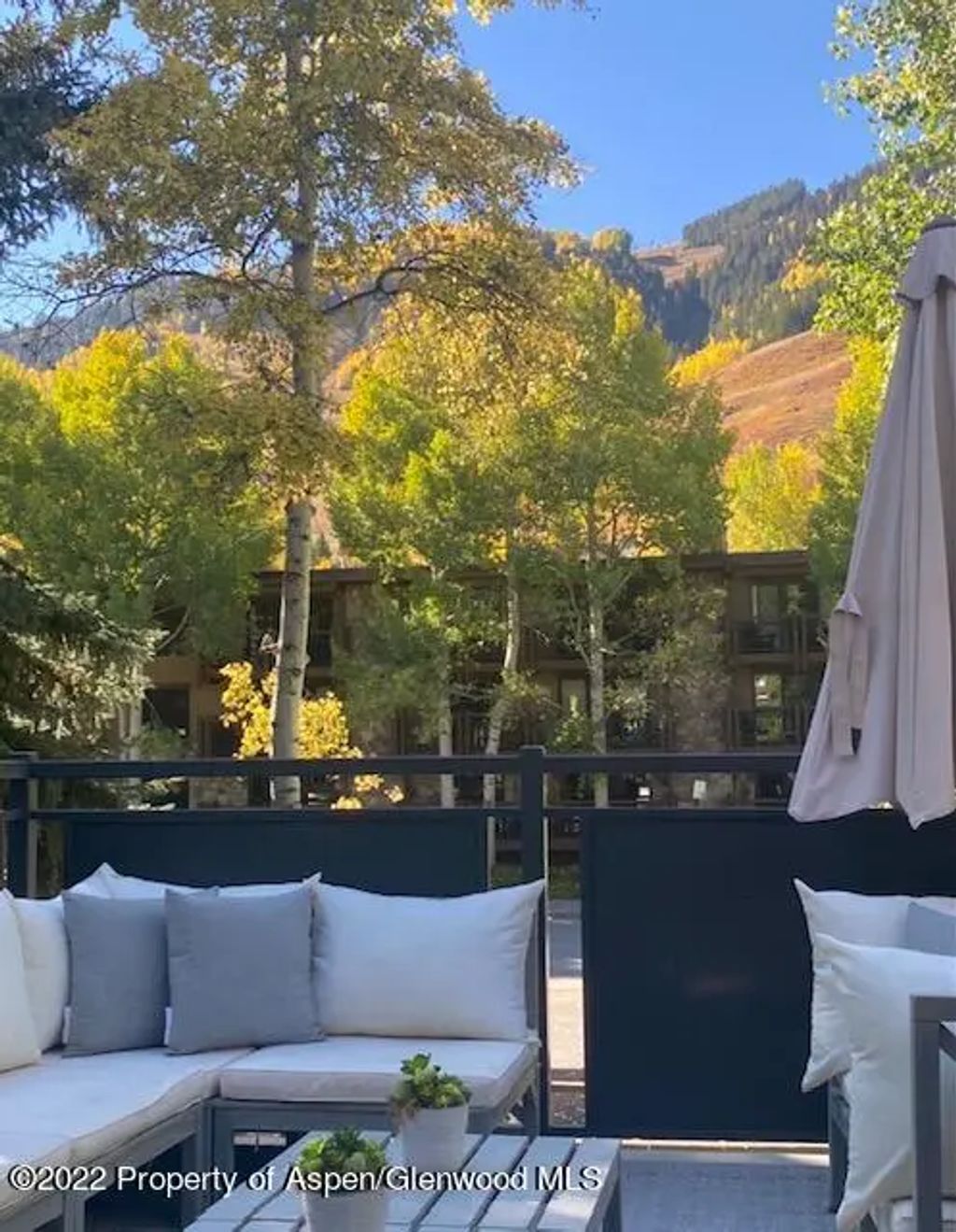 5 of 15 - 124 E Durant Avenue 2, Aspen, CO