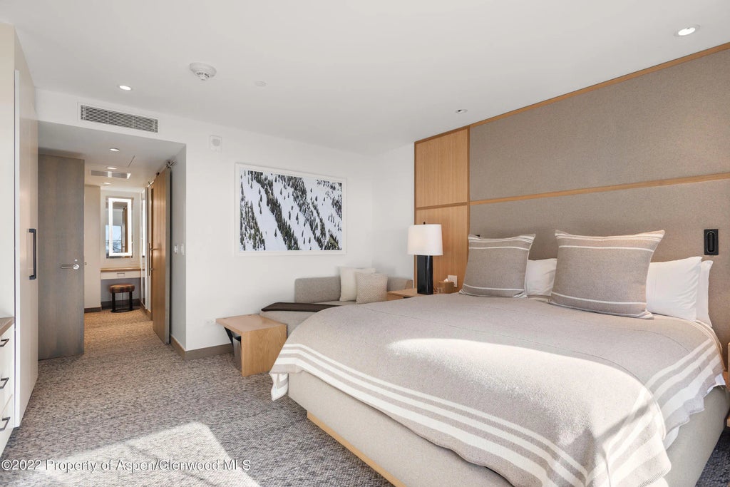 12 of 41 - 550 S Spring Street 392, Aspen, CO