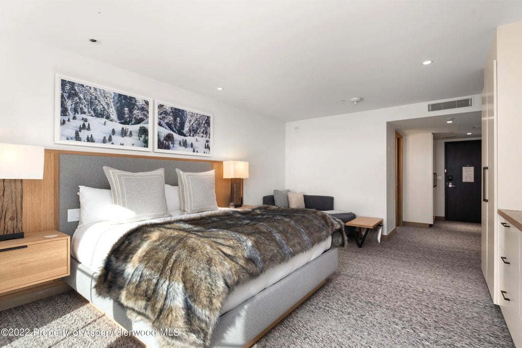 18 of 41 - 550 S Spring Street 392, Aspen, CO