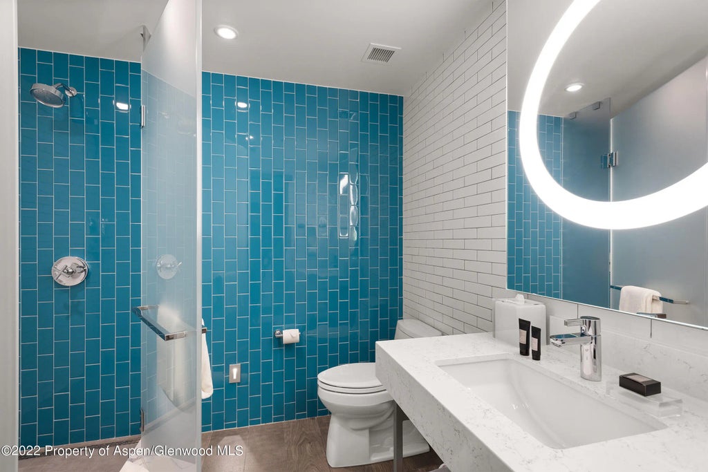 22 of 41 - 550 S Spring Street 392, Aspen, CO