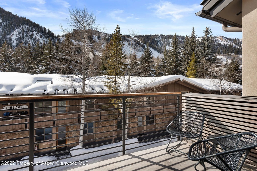 25 of 41 - 550 S Spring Street 392, Aspen, CO