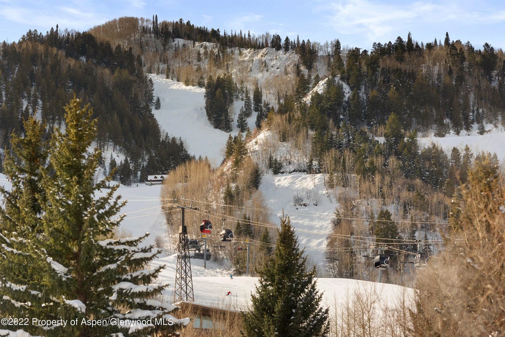 28 of 41 - 550 S Spring Street 392, Aspen, CO