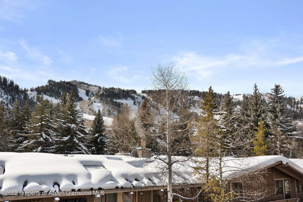 29 of 41 - 550 S Spring Street 392, Aspen, CO
