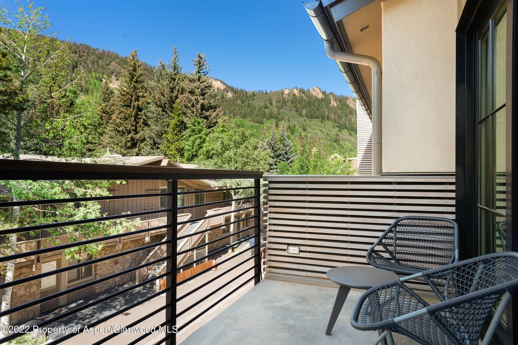 30 of 41 - 550 S Spring Street 392, Aspen, CO