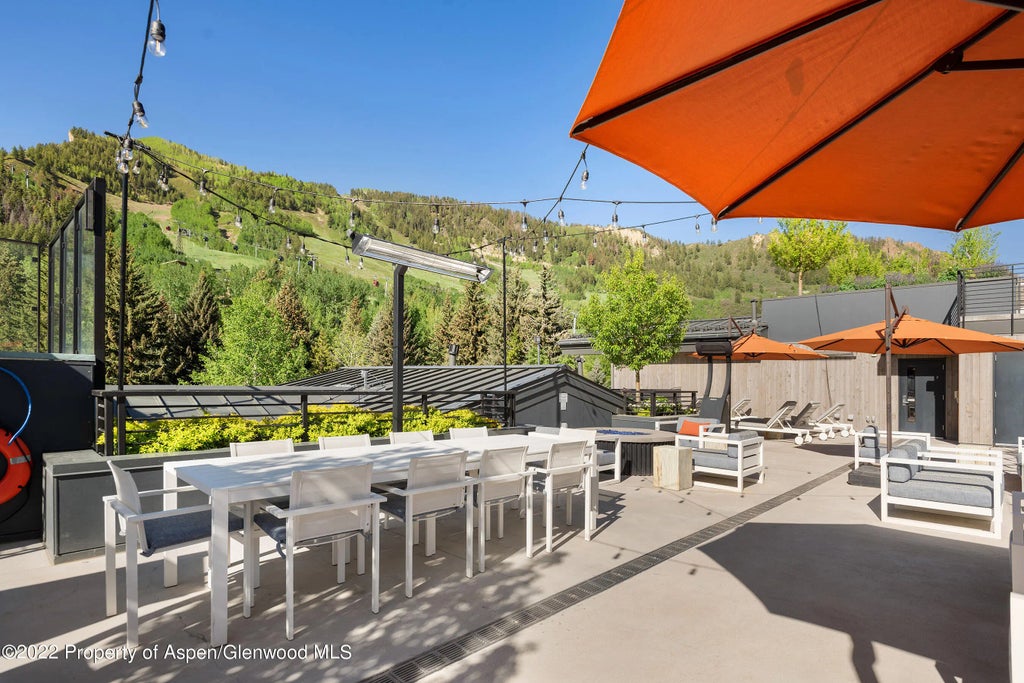 32 of 41 - 550 S Spring Street 392, Aspen, CO