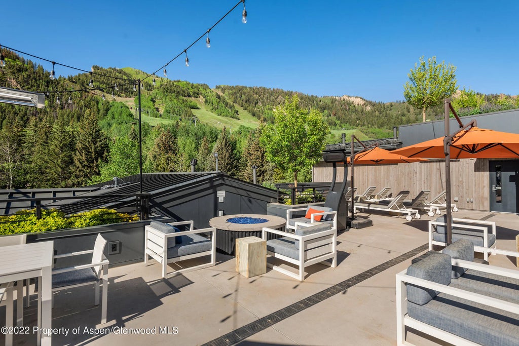 33 of 41 - 550 S Spring Street 392, Aspen, CO