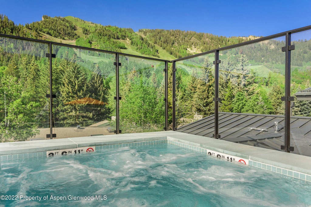 36 of 41 - 550 S Spring Street 392, Aspen, CO