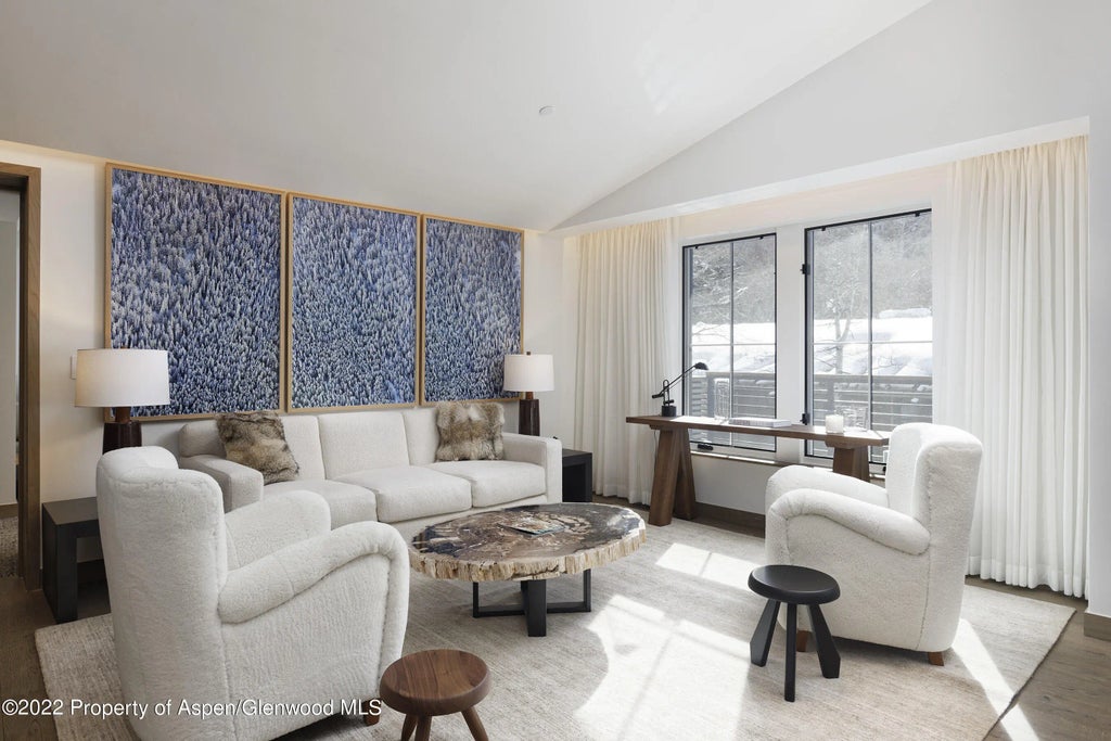 5 of 41 - 550 S Spring Street 392, Aspen, CO