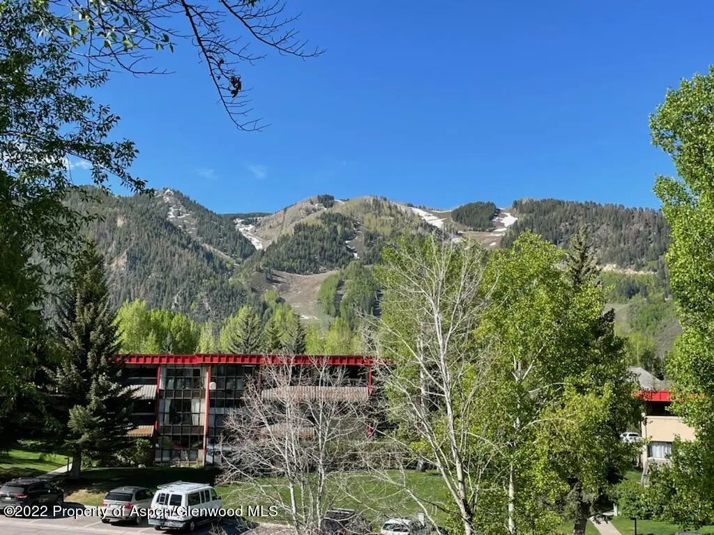 1 of 24 - 335 Vine Street 335, Aspen, CO