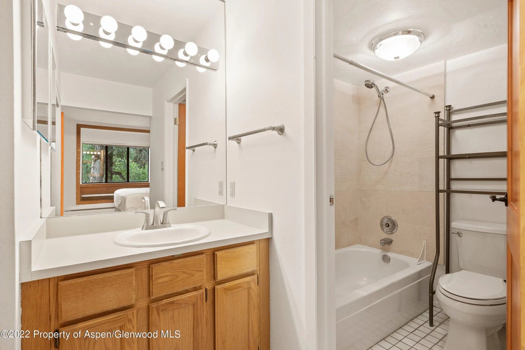 14 of 24 - 335 Vine Street 335, Aspen, CO