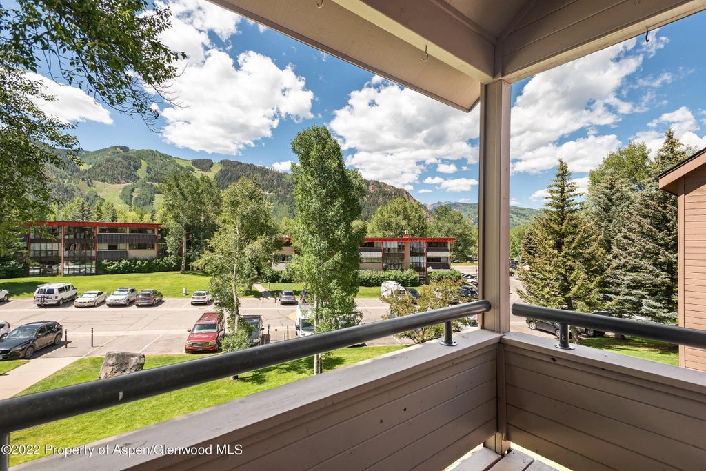 17 of 24 - 335 Vine Street 335, Aspen, CO