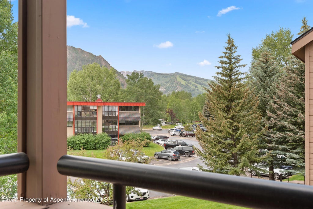 18 of 24 - 335 Vine Street 335, Aspen, CO
