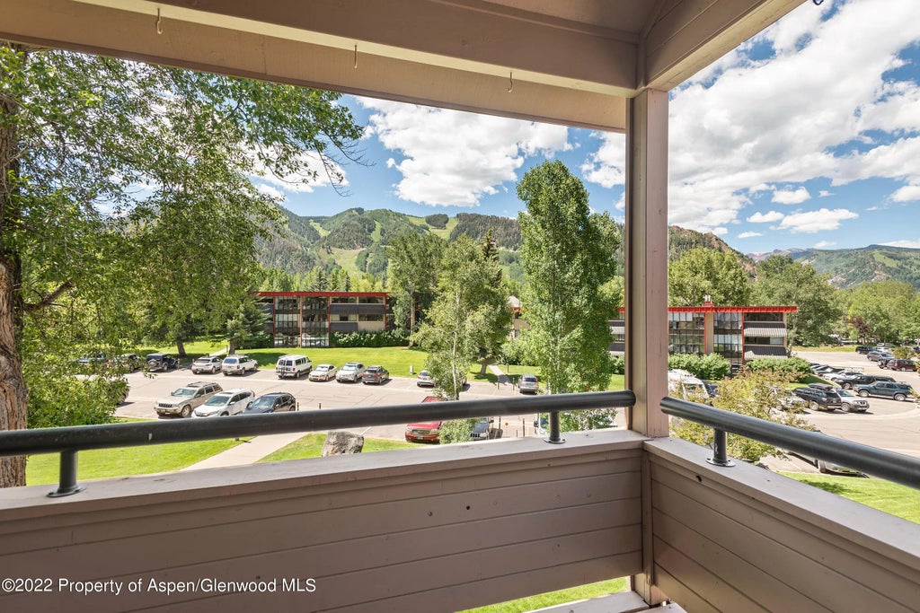 19 of 24 - 335 Vine Street 335, Aspen, CO