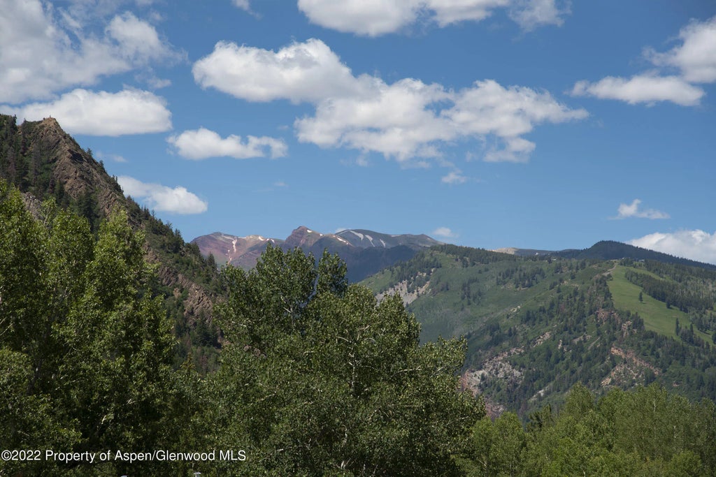 22 of 24 - 335 Vine Street 335, Aspen, CO