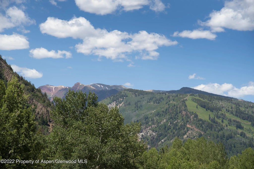 23 of 24 - 335 Vine Street 335, Aspen, CO