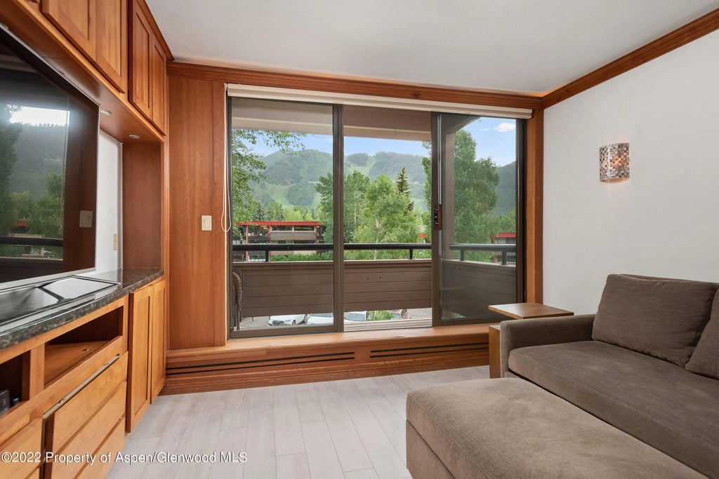 7 of 24 - 335 Vine Street 335, Aspen, CO