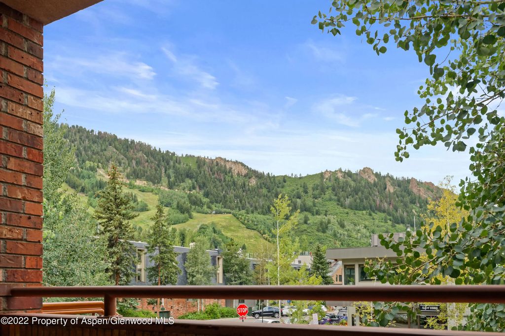 18 of 20 - 450 S Original Street 8, Aspen, CO