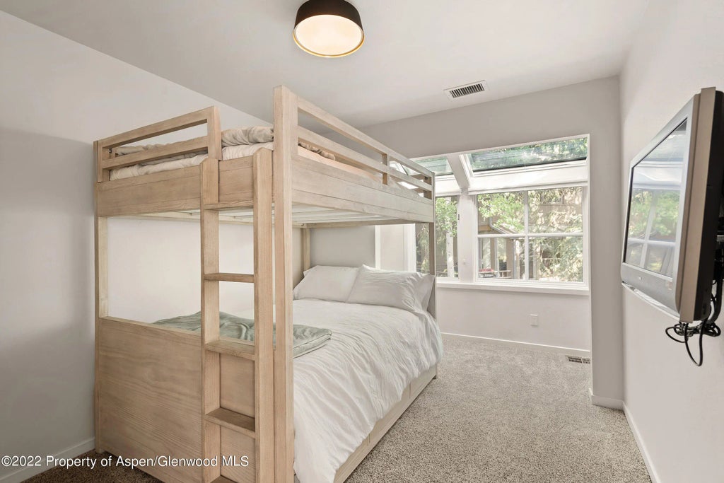 16 of 22 - 100 N 8th Street 23, Aspen, CO