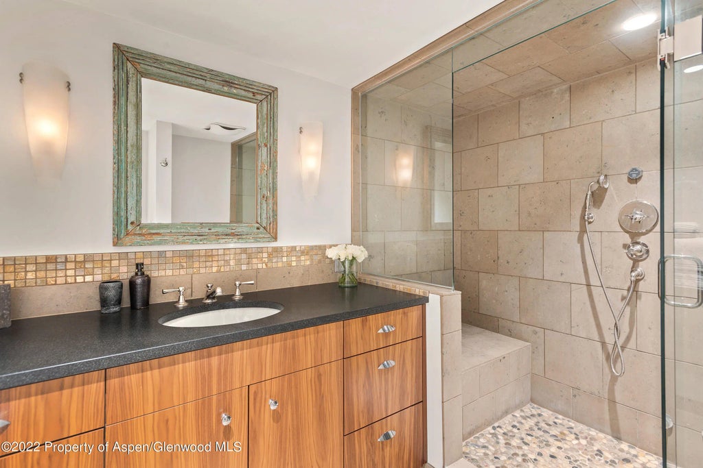 19 of 22 - 100 N 8th Street 23, Aspen, CO