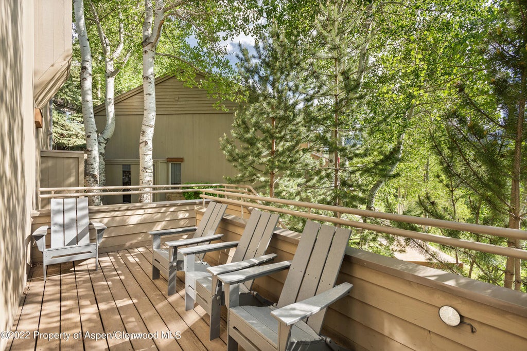 21 of 22 - 100 N 8th Street 23, Aspen, CO