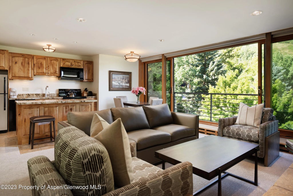1 of 18 - 728 S Galena Street B201, Aspen, CO